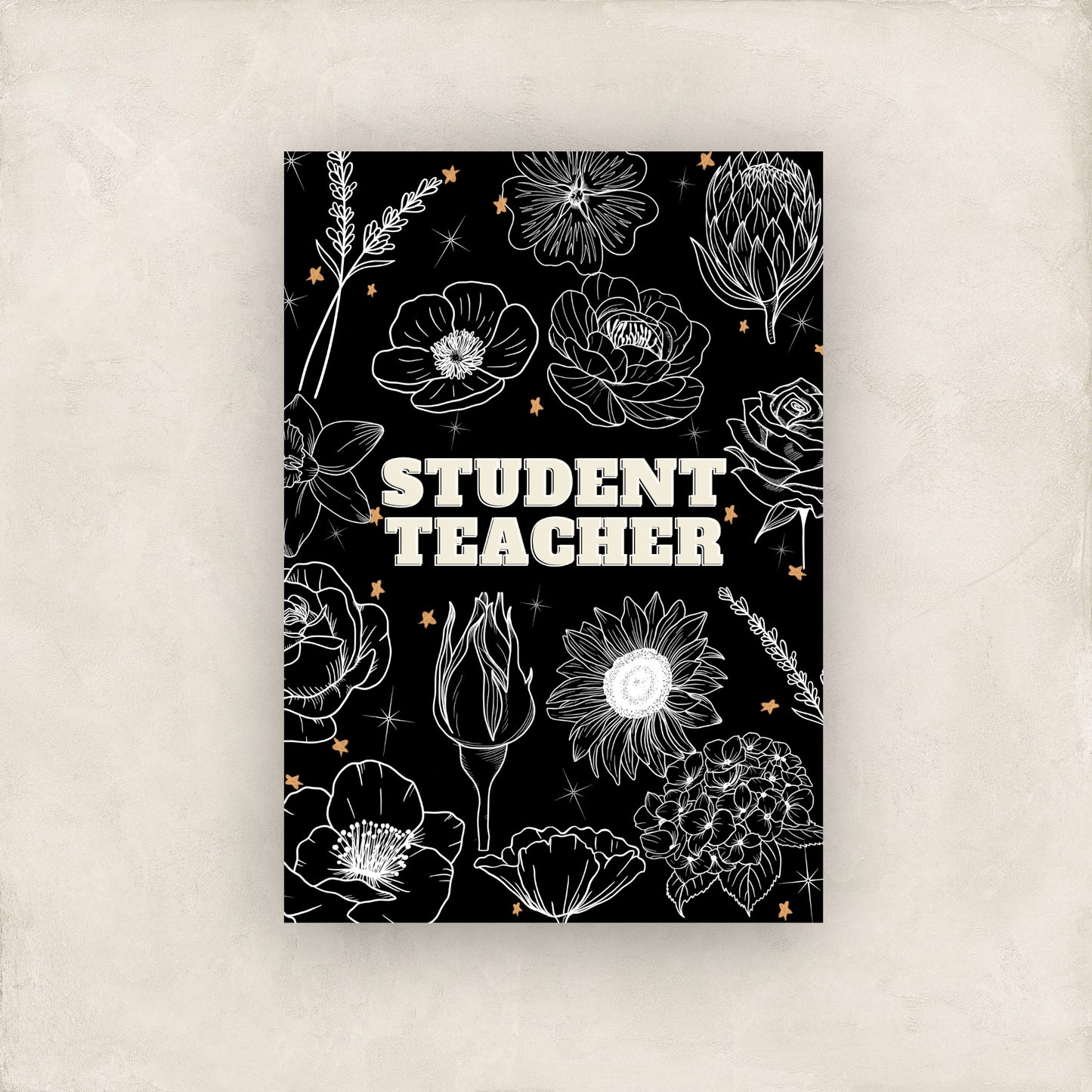 Student Teacher Weekly Planner